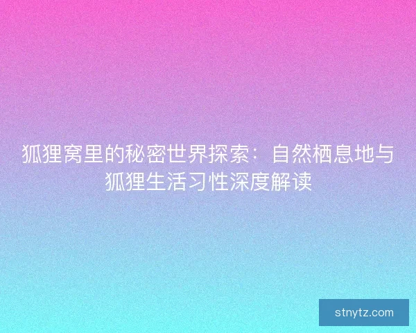 狐狸窝里的秘密世界探索：自然栖息地与狐狸生活习性深度解读