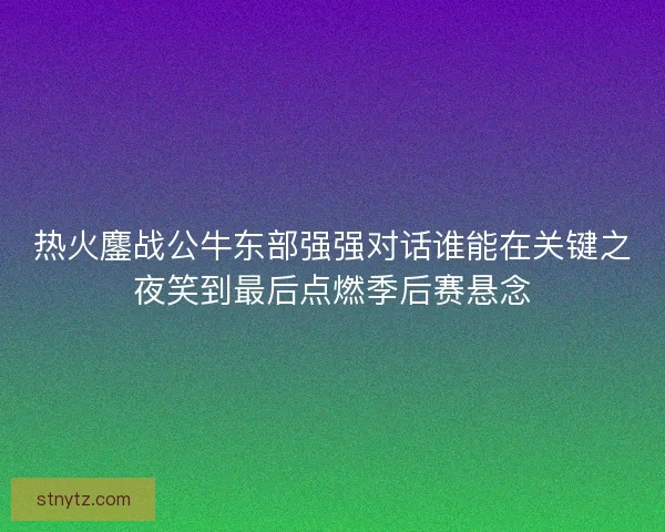 热火鏖战公牛东部强强对话谁能在关键之夜笑到最后点燃季后赛悬念