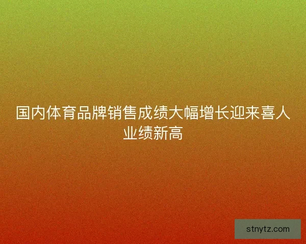 国内体育品牌销售成绩大幅增长迎来喜人业绩新高
